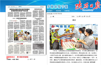 OG视讯西北集团珑樾府项目高温慰问——《陕西日报》